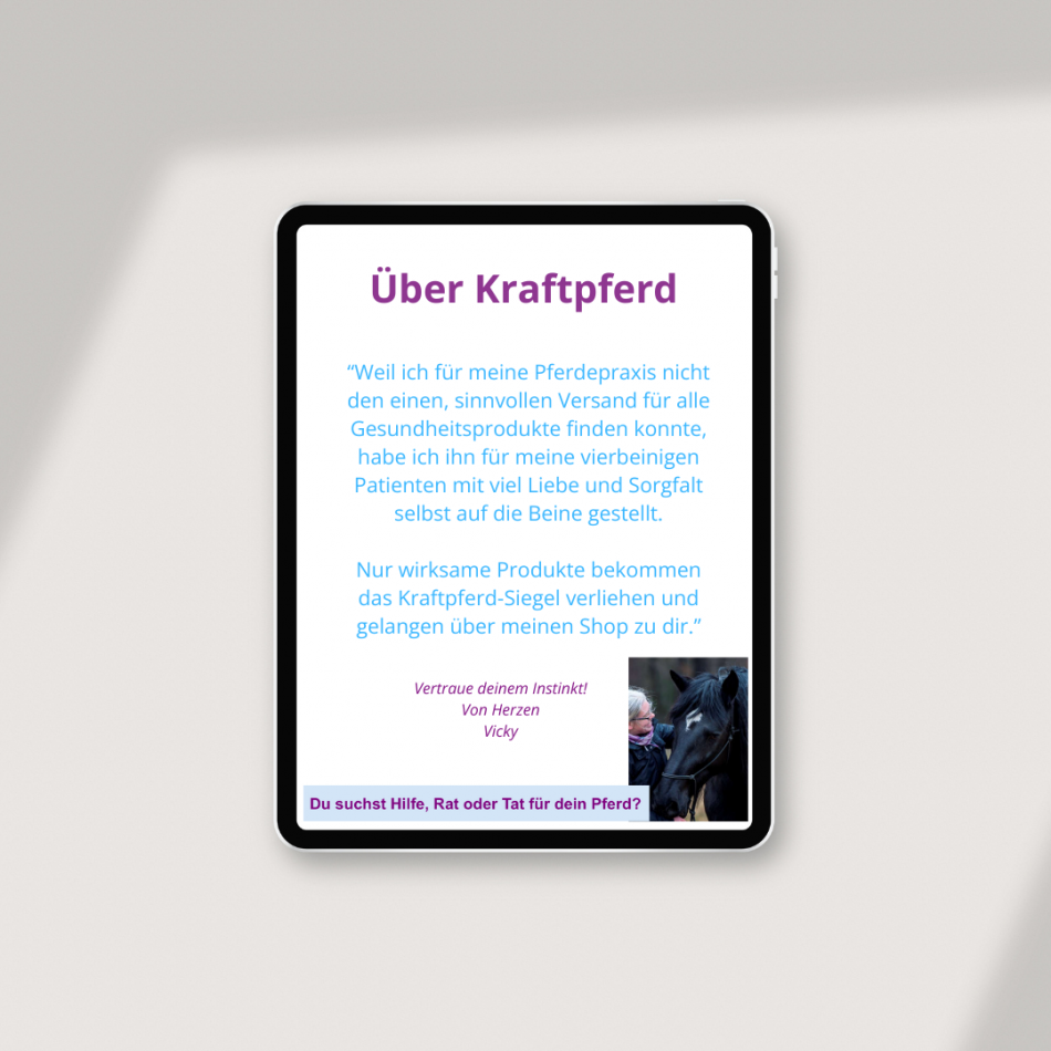 Kraftpferd // <b> Website & Shop